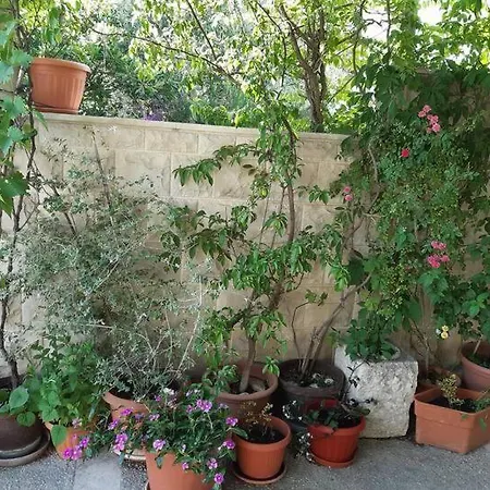 Appartamento Biljana