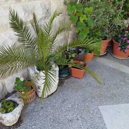 Apartment Biljana *