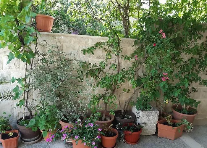 Apartamento Biljana