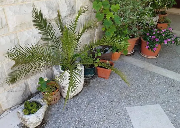 Apartamento Biljana *